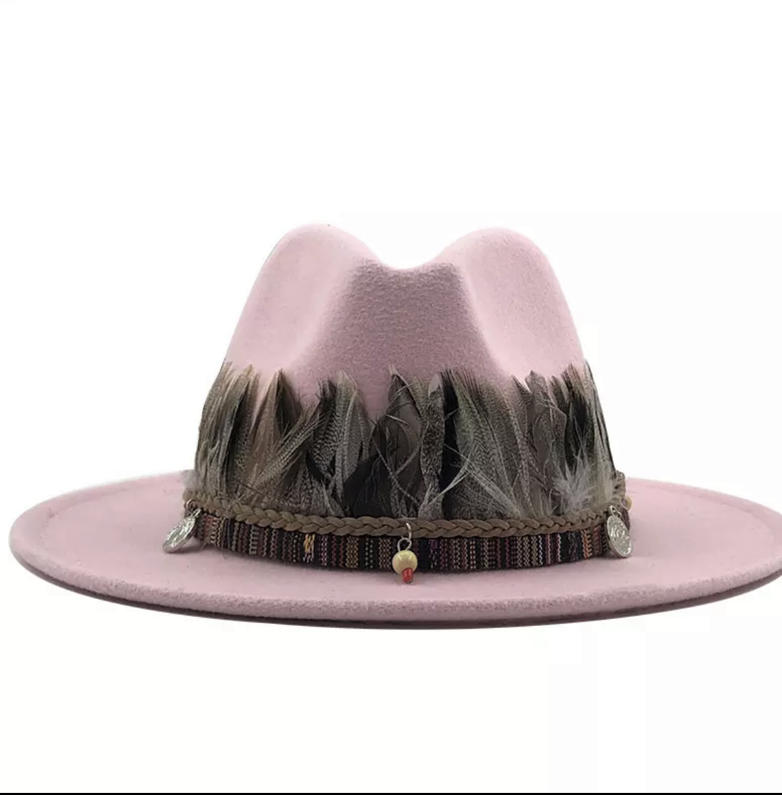 Unisex  Collection Fedora Hats With Feather